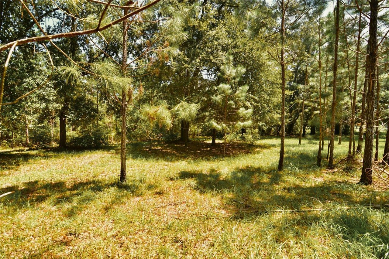 18709 NE Us Highway 301 , Waldo, FL 32694 Photo