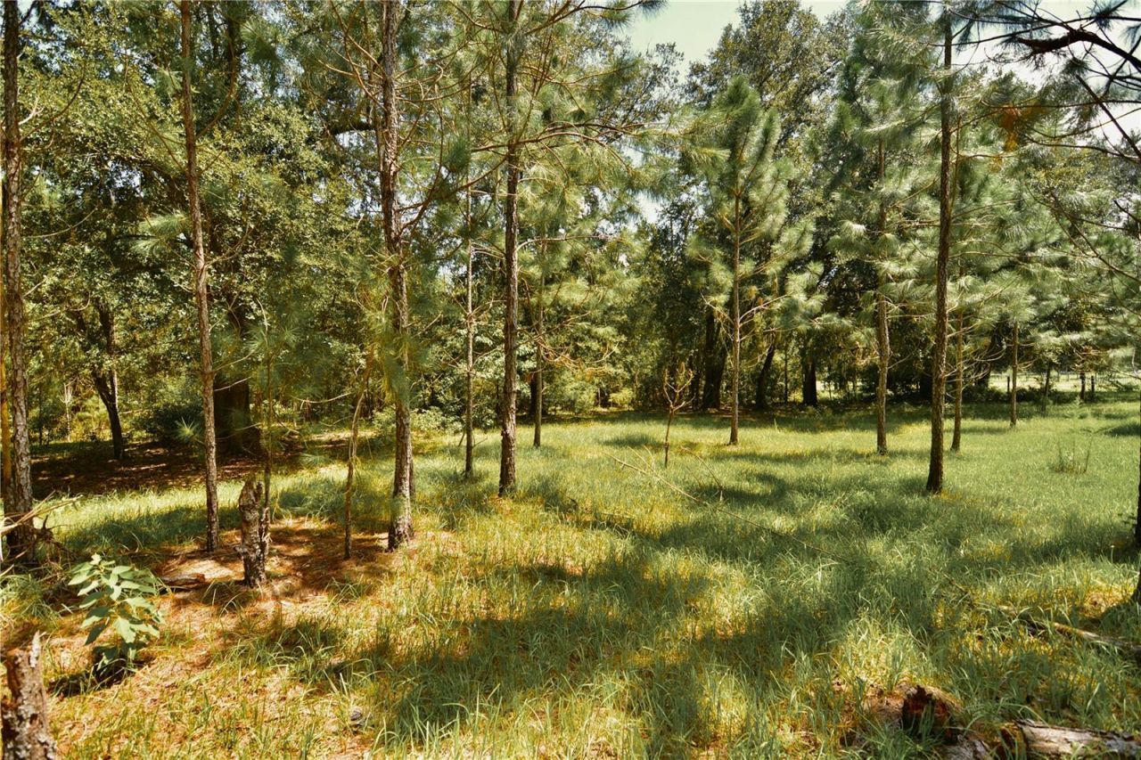 18709 NE Us Highway 301 , Waldo, FL 32694 Photo