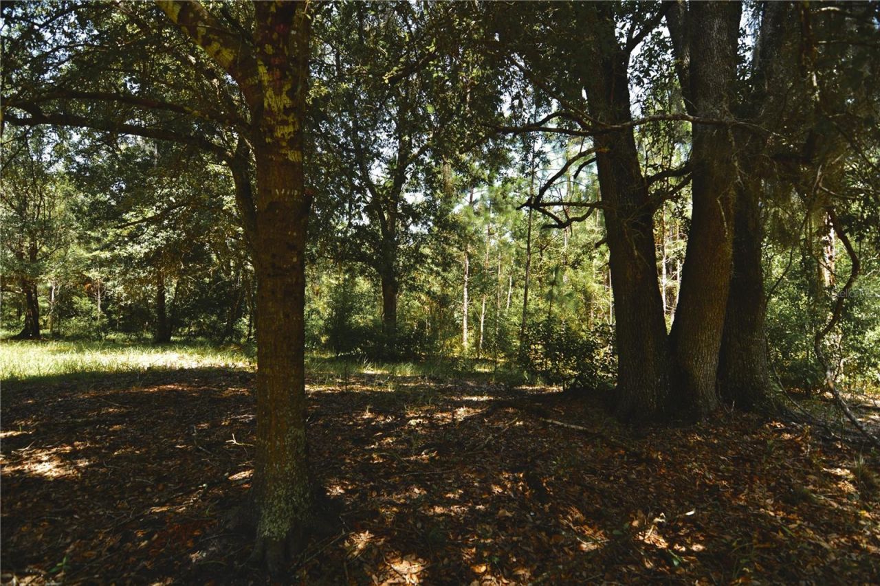 18709 NE Us Highway 301 , Waldo, FL 32694 Photo