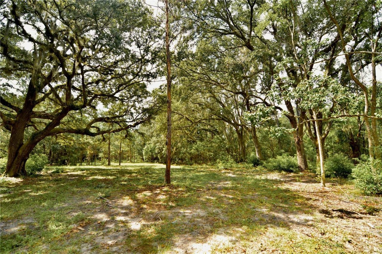 18709 NE Us Highway 301 , Waldo, FL 32694 Photo