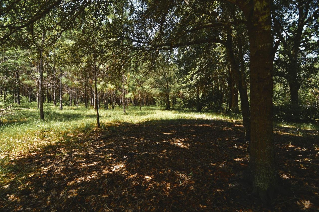 18709 NE Us Highway 301 , Waldo, FL 32694 Photo