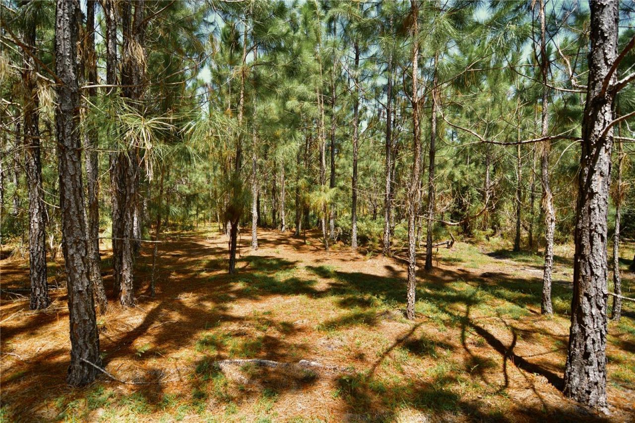 18709 NE Us Highway 301 , Waldo, FL 32694 Photo