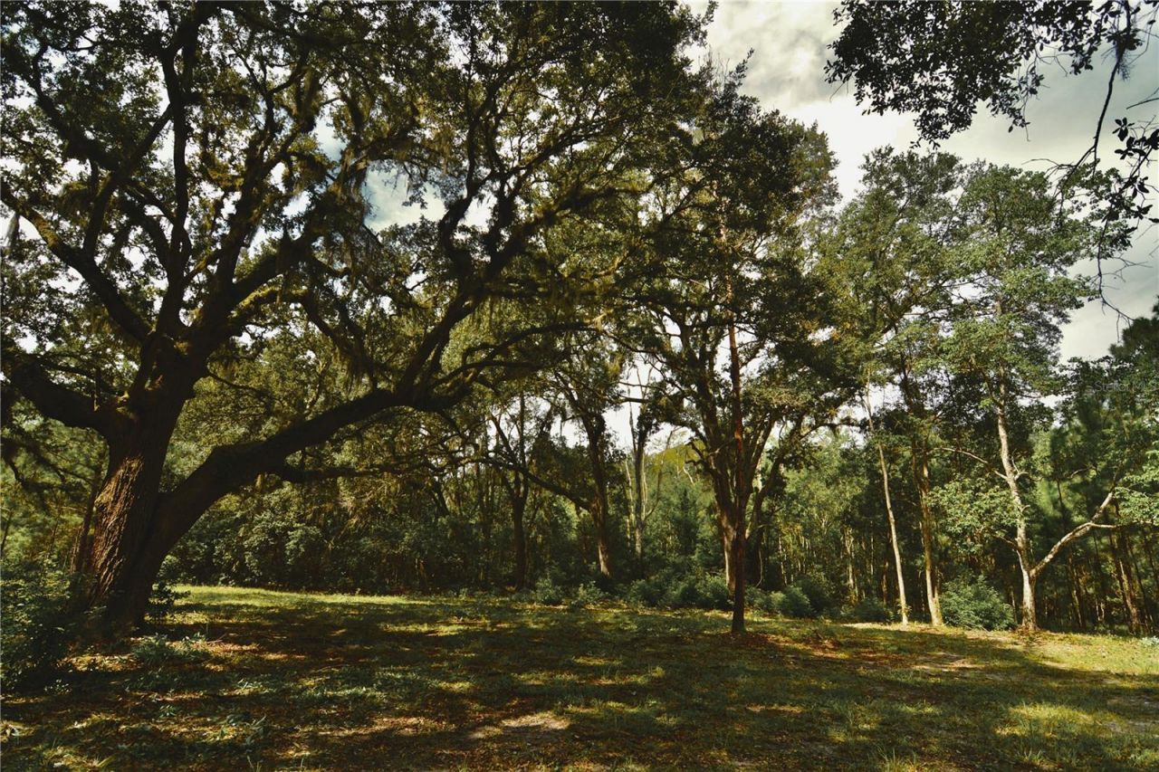 18709 NE Us Highway 301 , Waldo, FL 32694 Photo