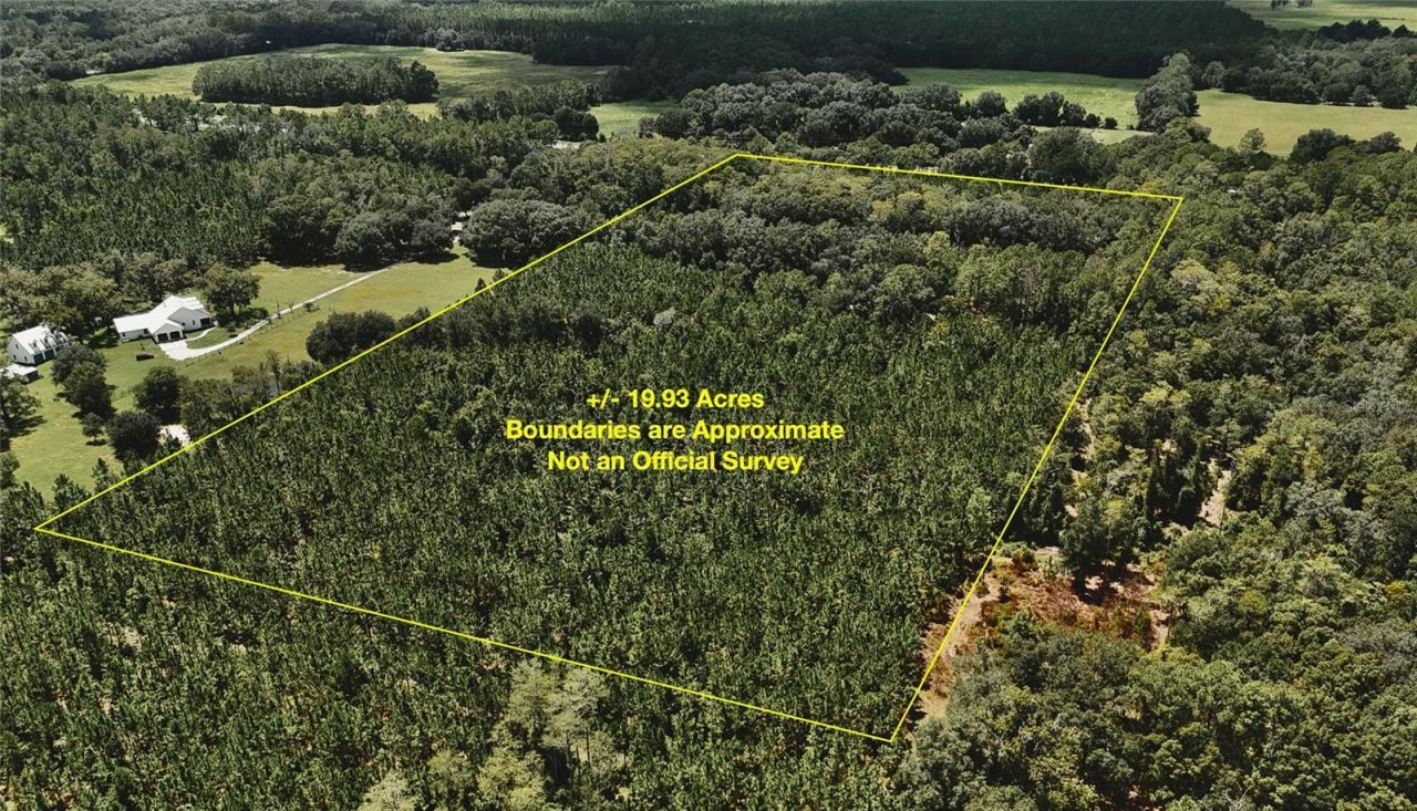 18709 NE Us Highway 301 , Waldo, FL 32694 Photo