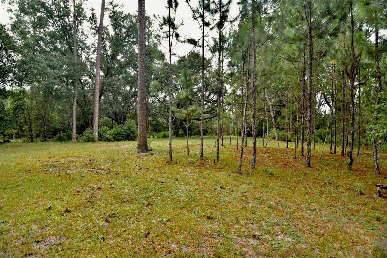 18709 NE Us Highway 301 , Waldo, FL 32694 Photo