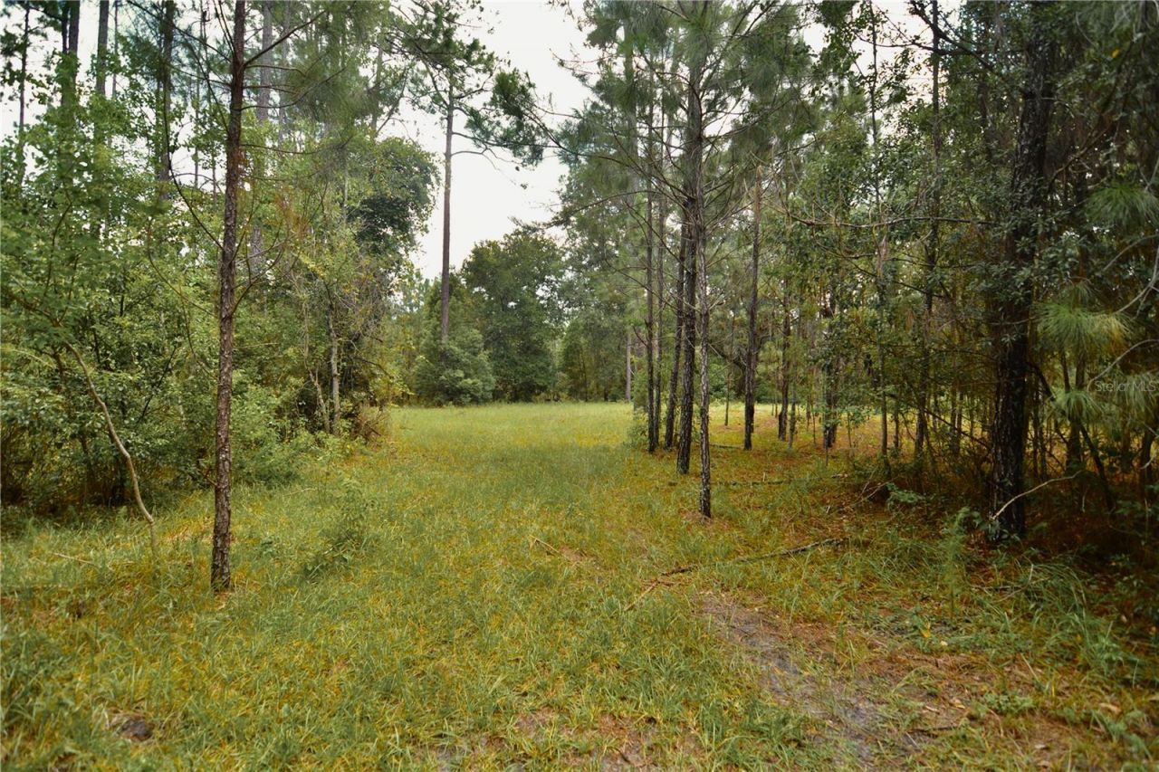 18709 NE Us Highway 301 , Waldo, FL 32694 Photo