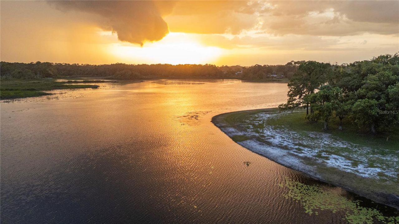 Reagan Trail , Lake Mary, FL 32746 Photo