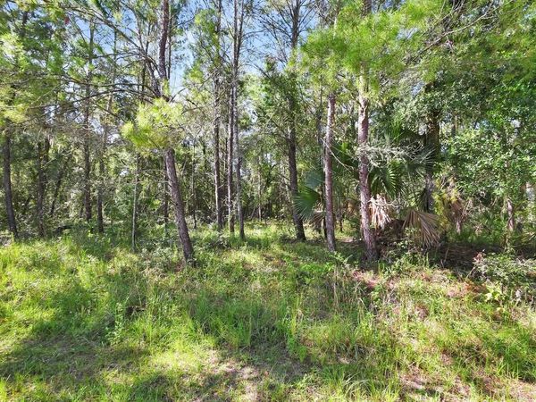 1964 S FARM ROAD , DELAND, FL 32720