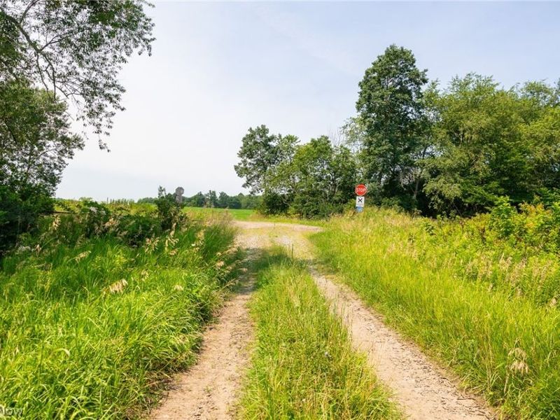 Fink Road, Kensington, OH 44427 Photo 14