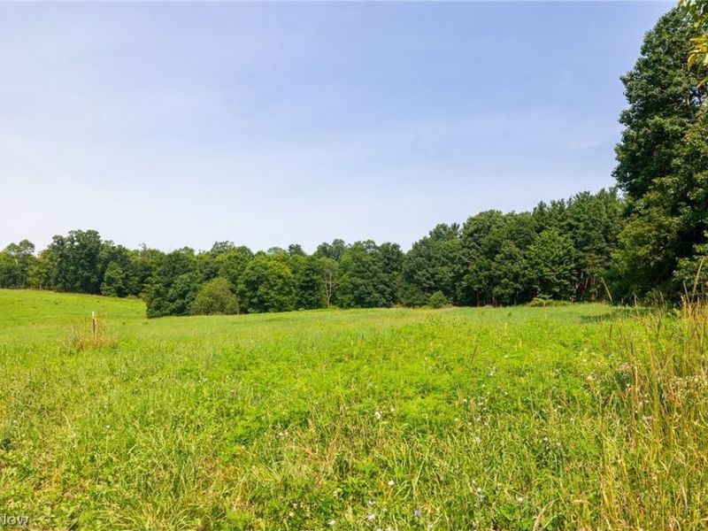 Fink Road, Kensington, OH 44427 Photo 15