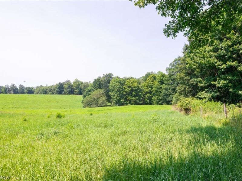 Fink Road, Kensington, OH 44427 Photo 16