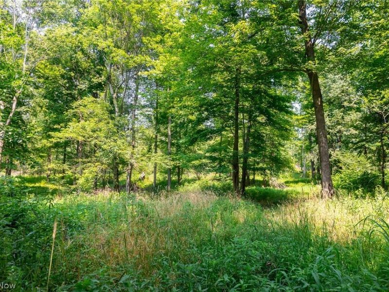 Fink Road, Kensington, OH 44427 Photo 21