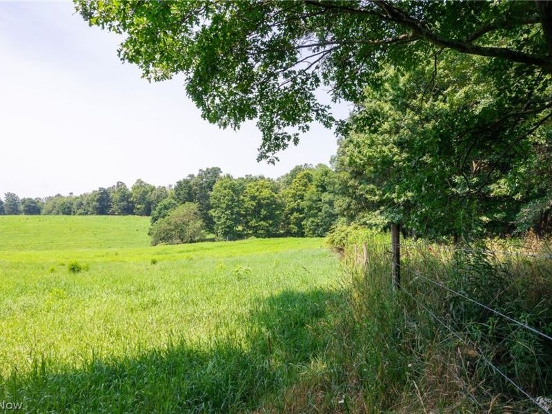 Fink Road, Kensington, OH 44427 Photo 9