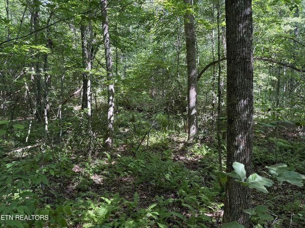 Laurel Way, Monterey, TN 38574