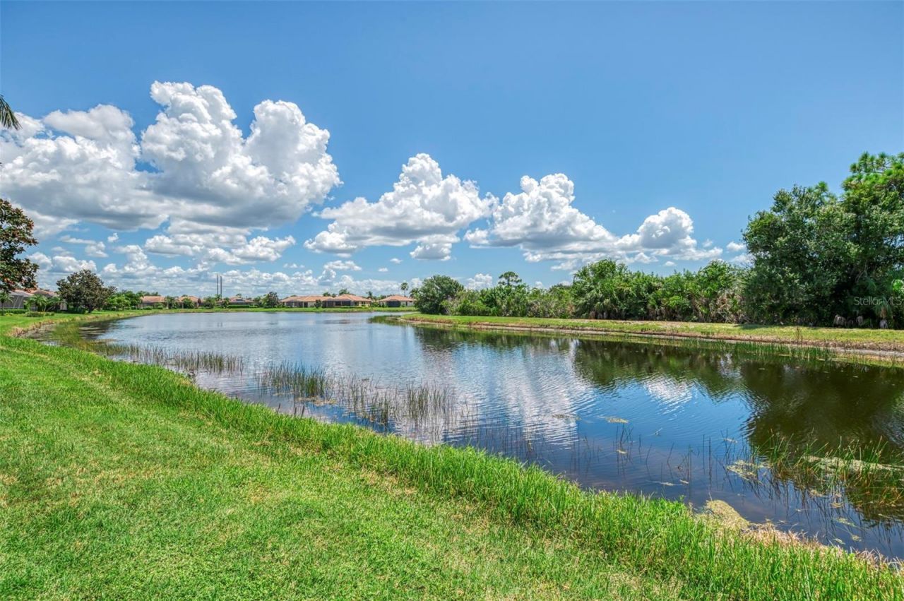 20277 Pezzana Drive , Venice, FL 34292 Photo