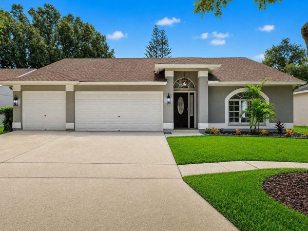 17721 HAMPSHIRE OAK DRIVE , TAMPA, FL 33647