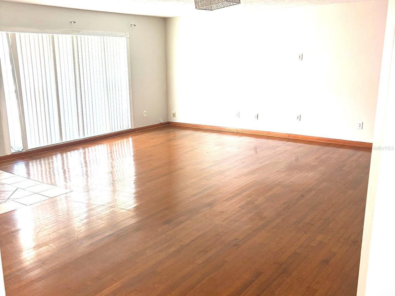 902 Samy Drive , Tampa, FL 33613 Photo