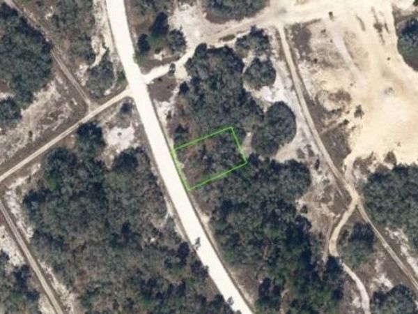 323 WILDWOOD DRIVE , LAKE PLACID, FL 33852