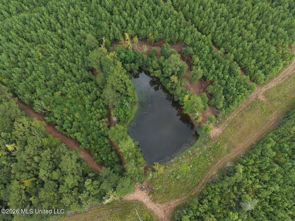 11852 Hwy 24 , Centreville, MS 39631