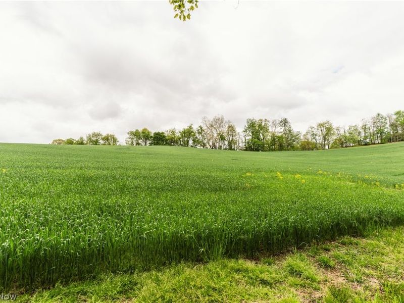 TR 240 , Fresno, OH 43824 Photo 6