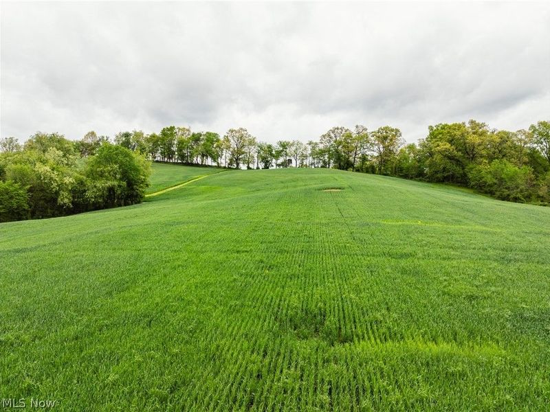 TR 240 , Fresno, OH 43824 Photo 10