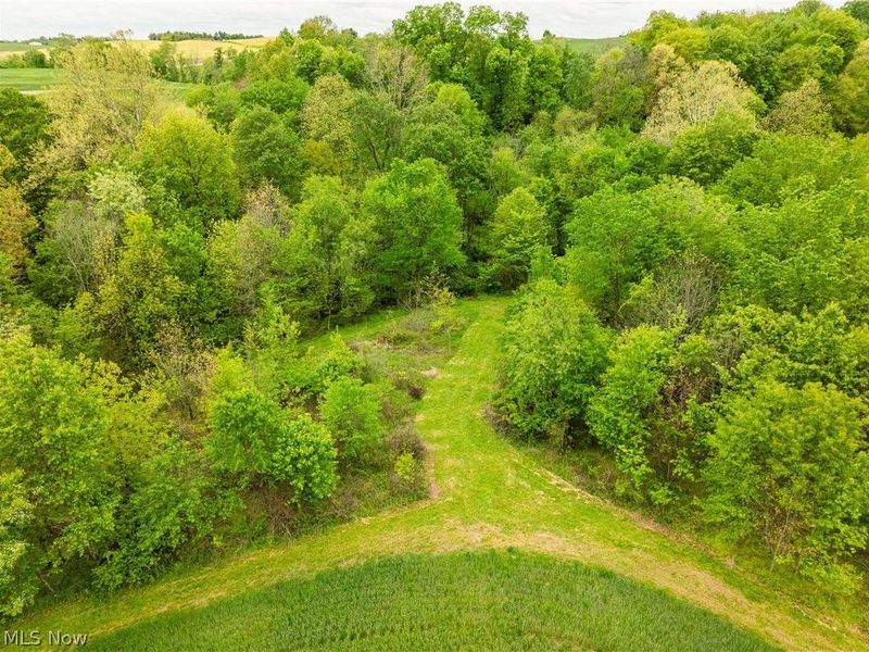 TR 240 , Fresno, OH 43824 Photo 12