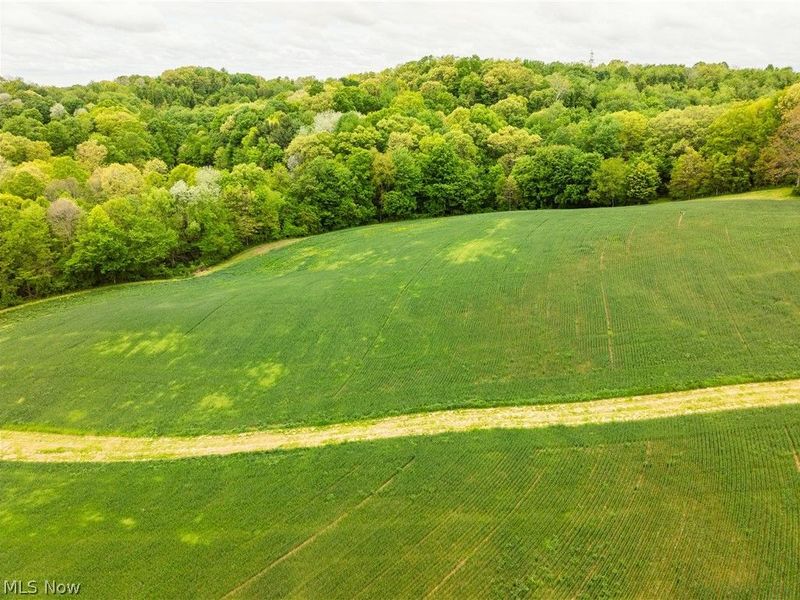 TR 240 , Fresno, OH 43824 Photo 14