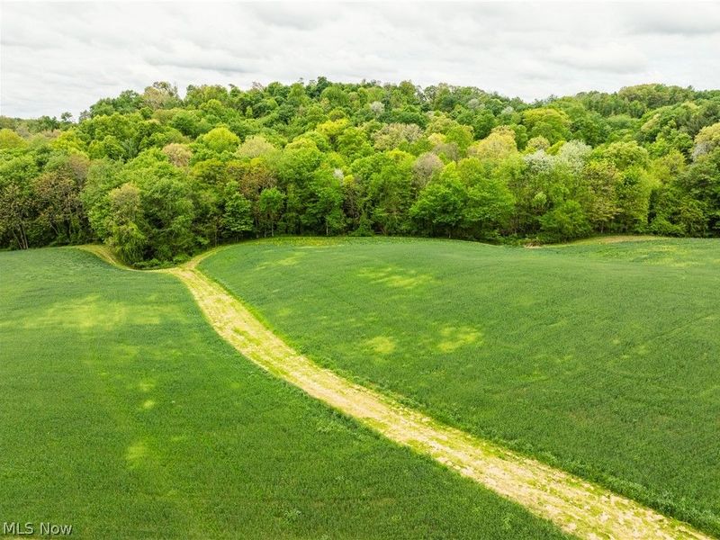 TR 240 , Fresno, OH 43824 Photo 15