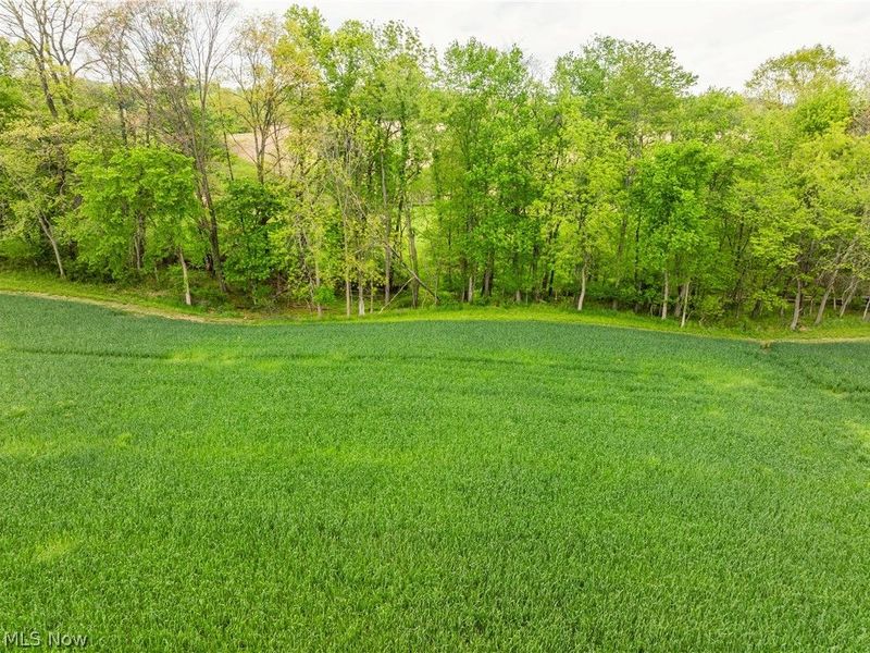 TR 240 , Fresno, OH 43824 Photo 16
