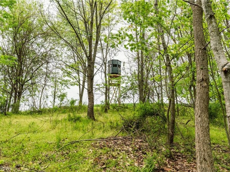 TR 240 , Fresno, OH 43824 Photo 8
