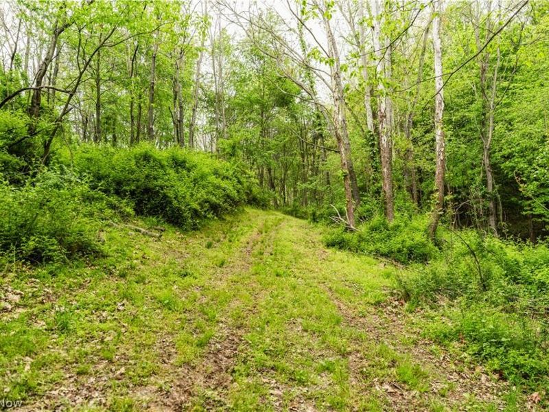 TR 240 , Fresno, OH 43824 Photo 9