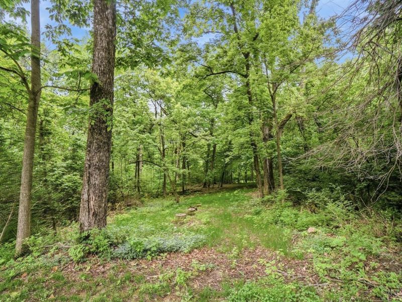 4 Beechurst Woods Lane, Green Township, OH 45233 Photo 61