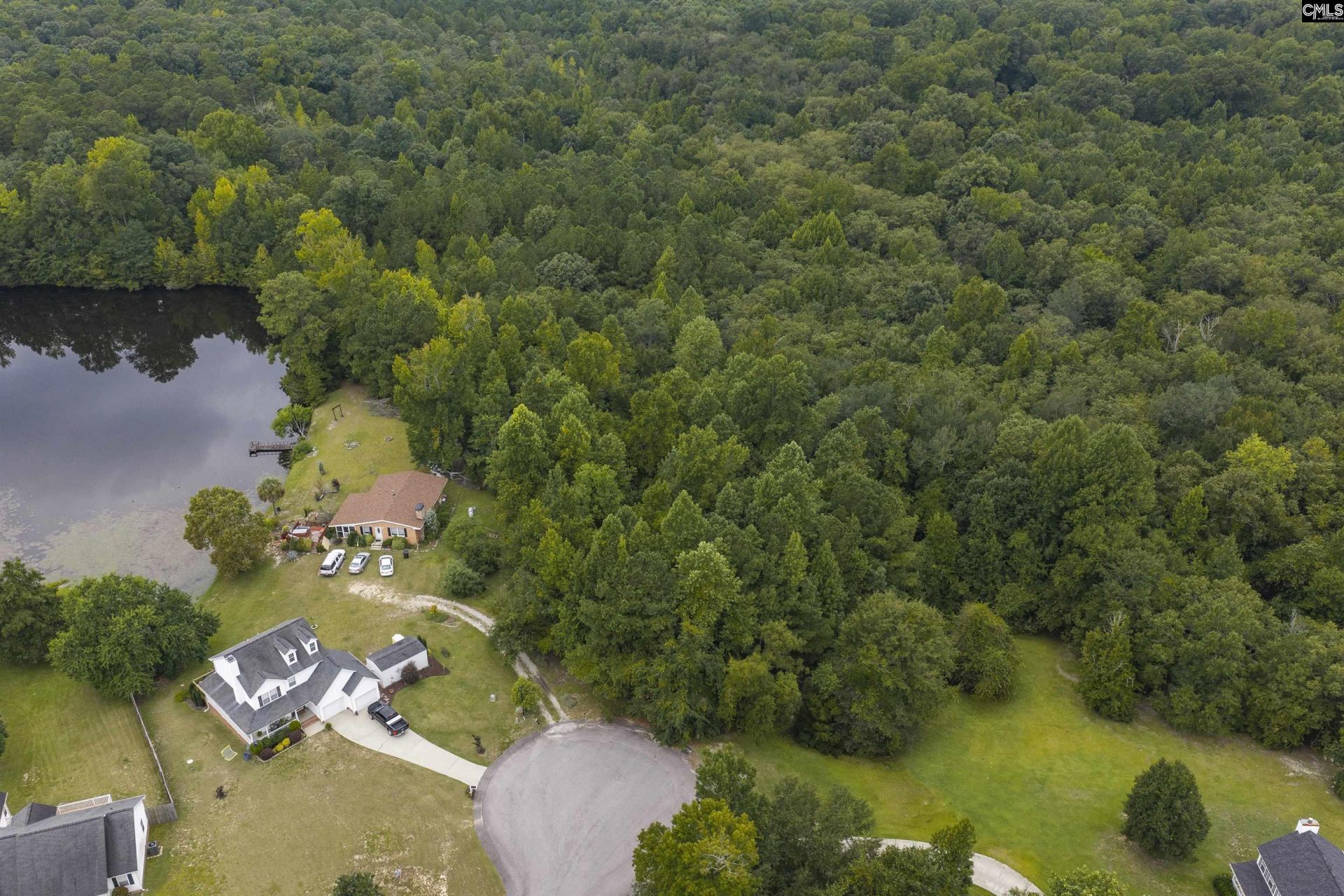 223 Painted Pony Court  Photo 9