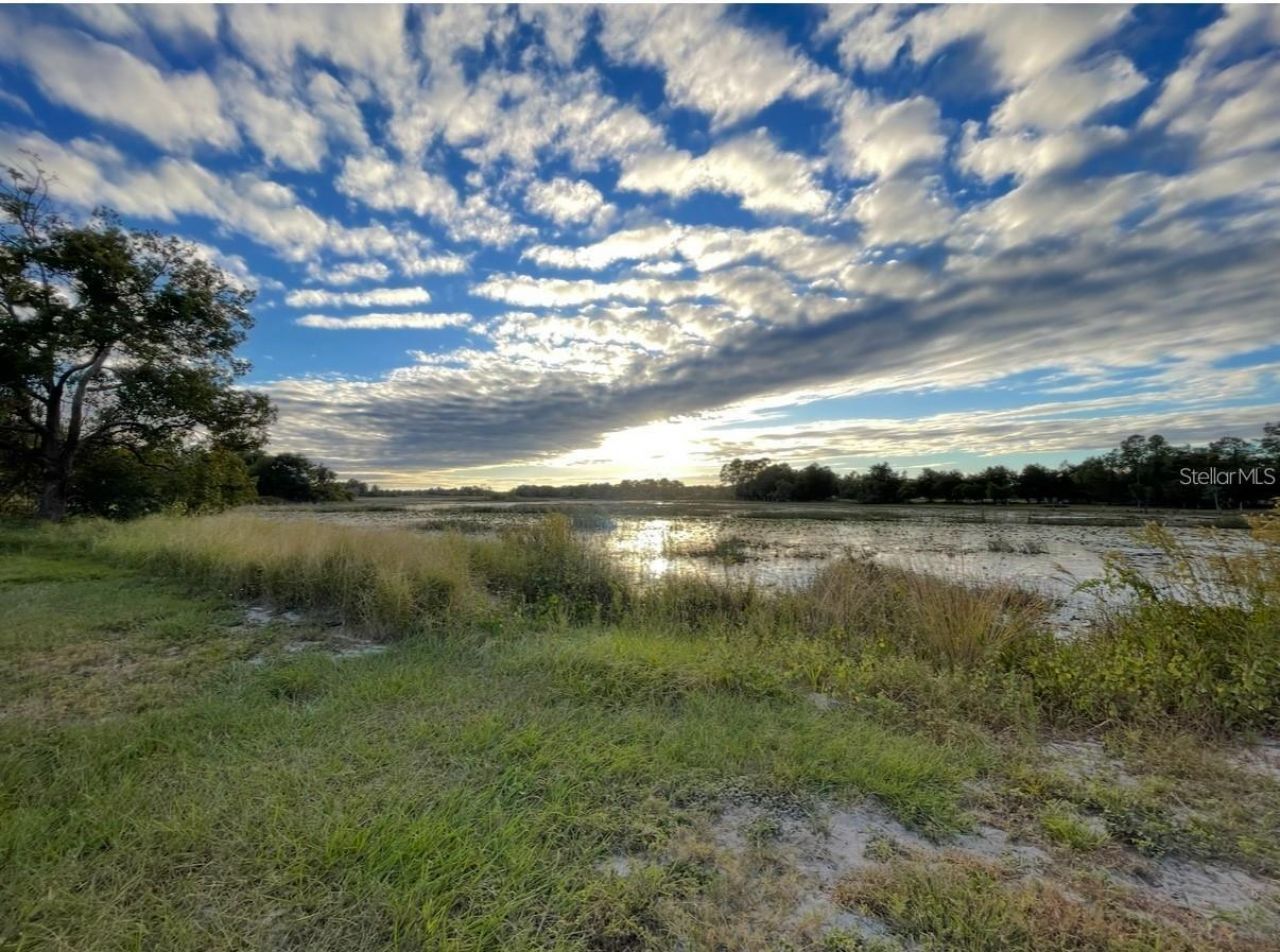 19751 County Road 33 , Groveland, FL 34736 Photo