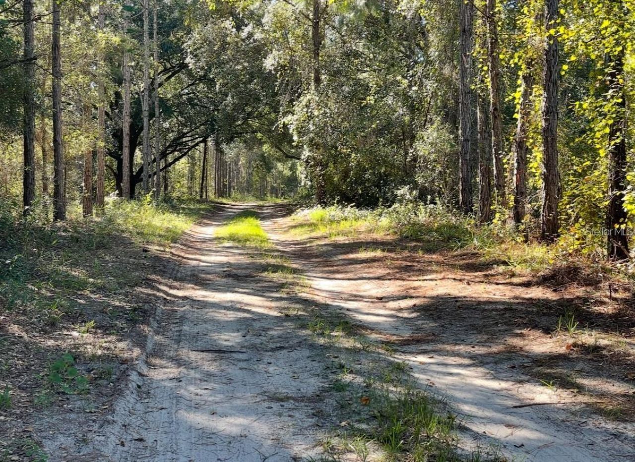 19751 County Road 33 , Groveland, FL 34736 Photo
