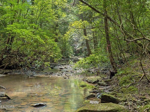 Sheep Ranch Rd, Robbins, TN 37852