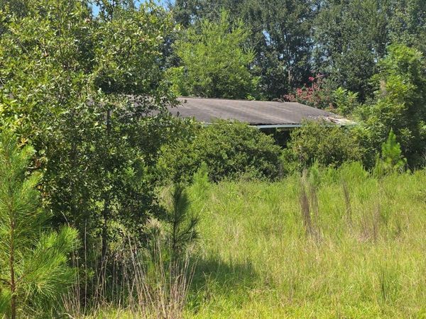 159 Grimsley Road, Colquitt, GA 39837