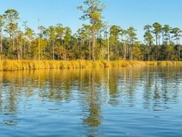 0 Cedar Trace, Mobile, AL 36582