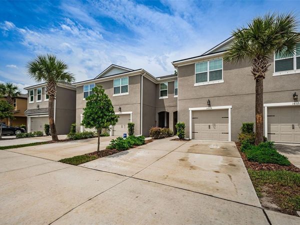 14126 DAMSELFLY DRIVE , Unit 115, TAMPA, FL 33625