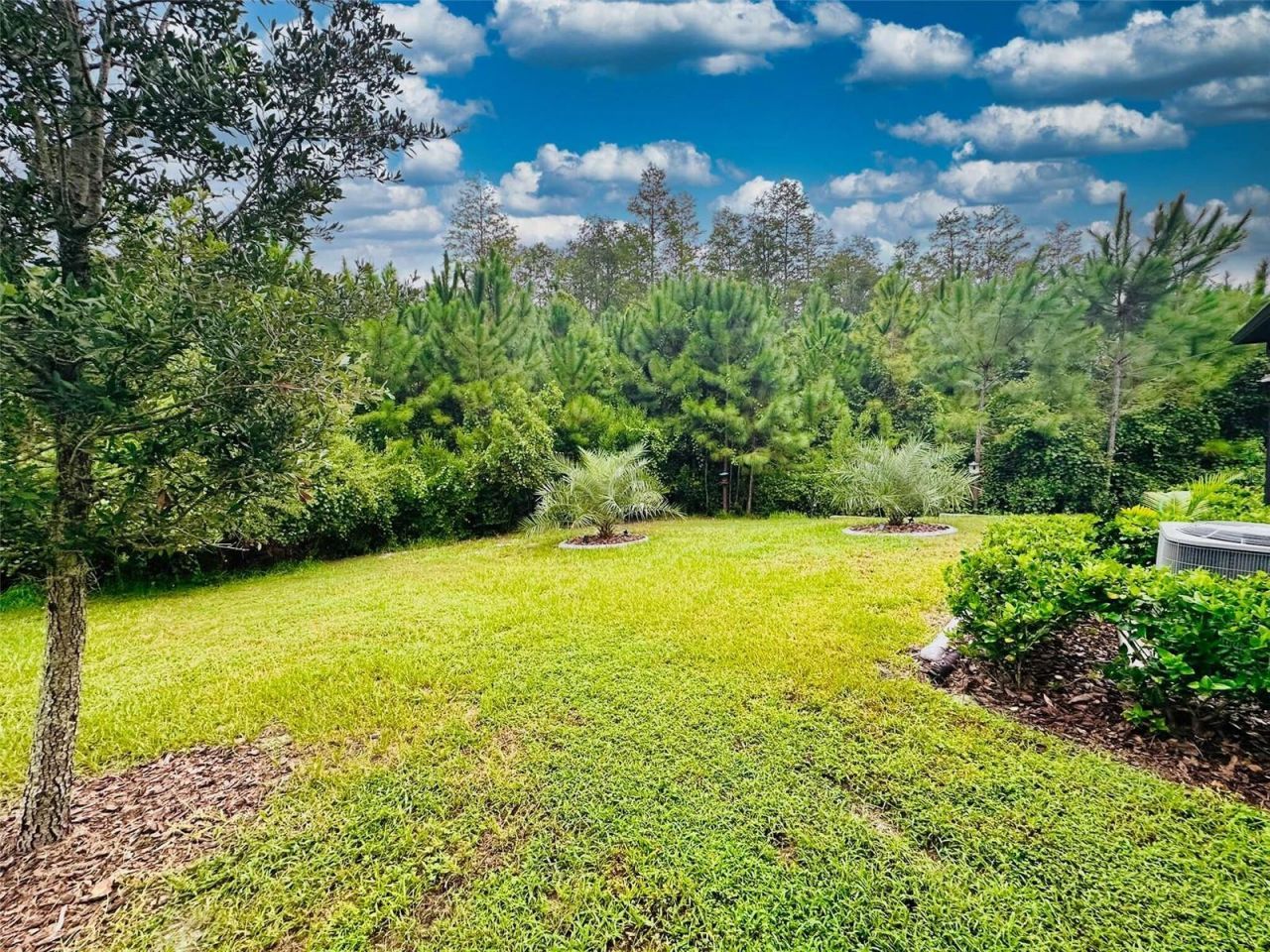 16660 Shell Bay Drive , Land O Lakes, FL 34638 Photo