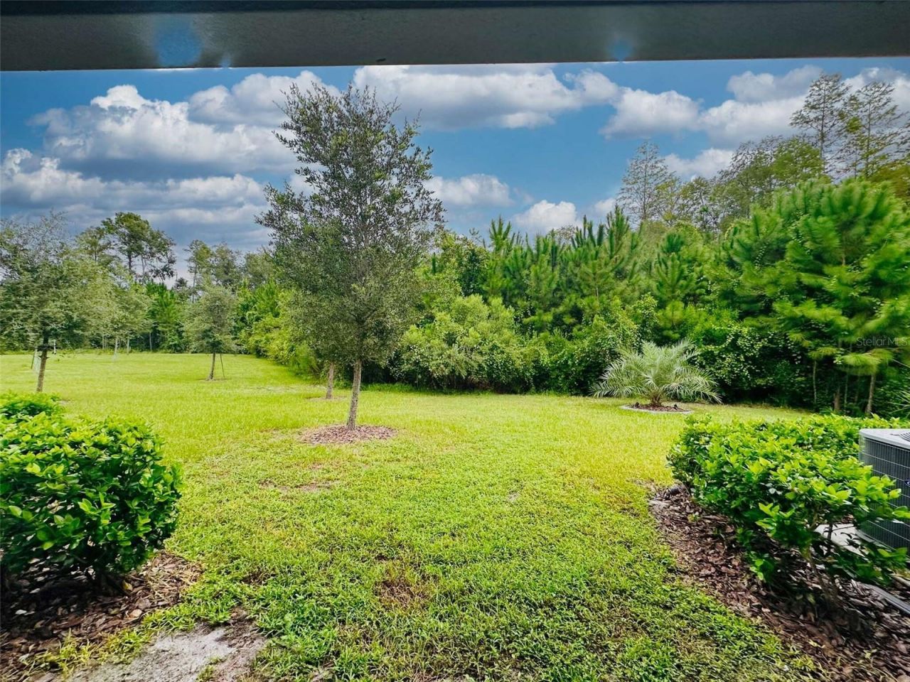 16660 Shell Bay Drive , Land O Lakes, FL 34638 Photo