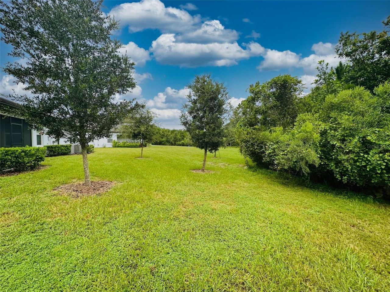 16660 Shell Bay Drive , Land O Lakes, FL 34638 Photo