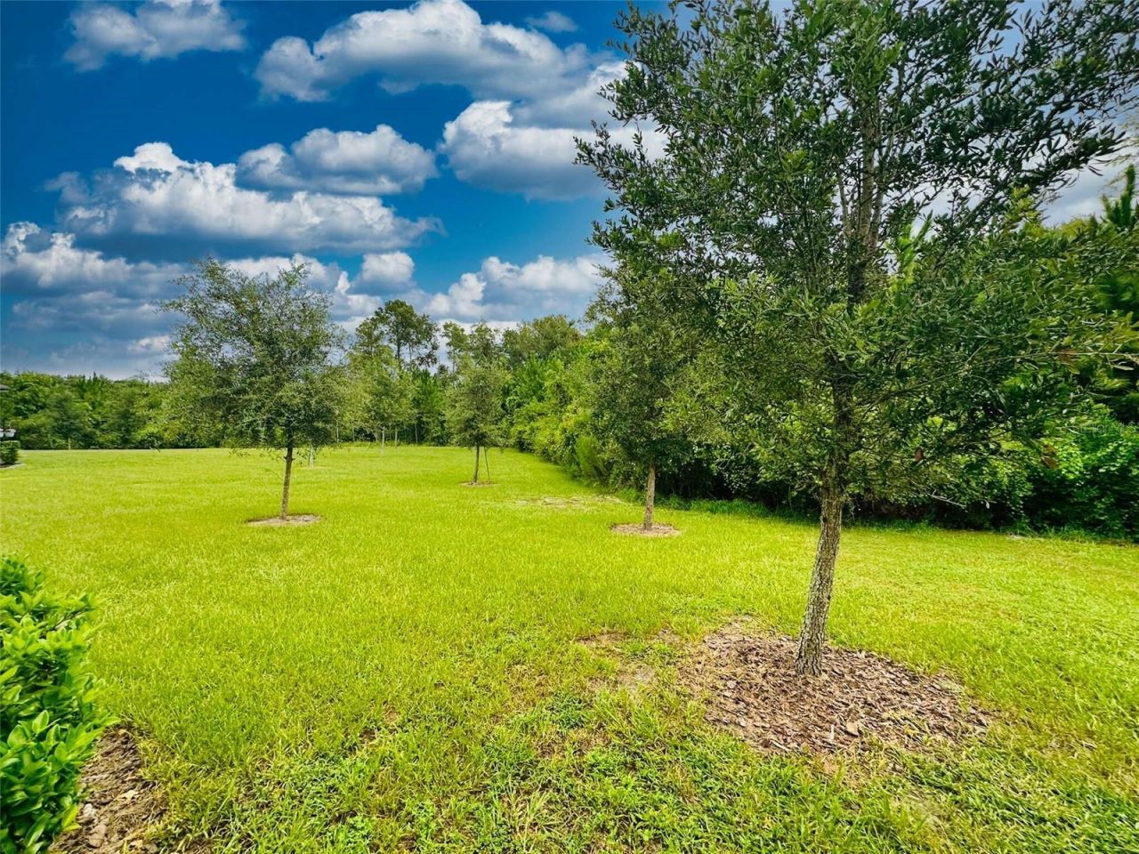 16660 Shell Bay Drive , Land O Lakes, FL 34638 Photo