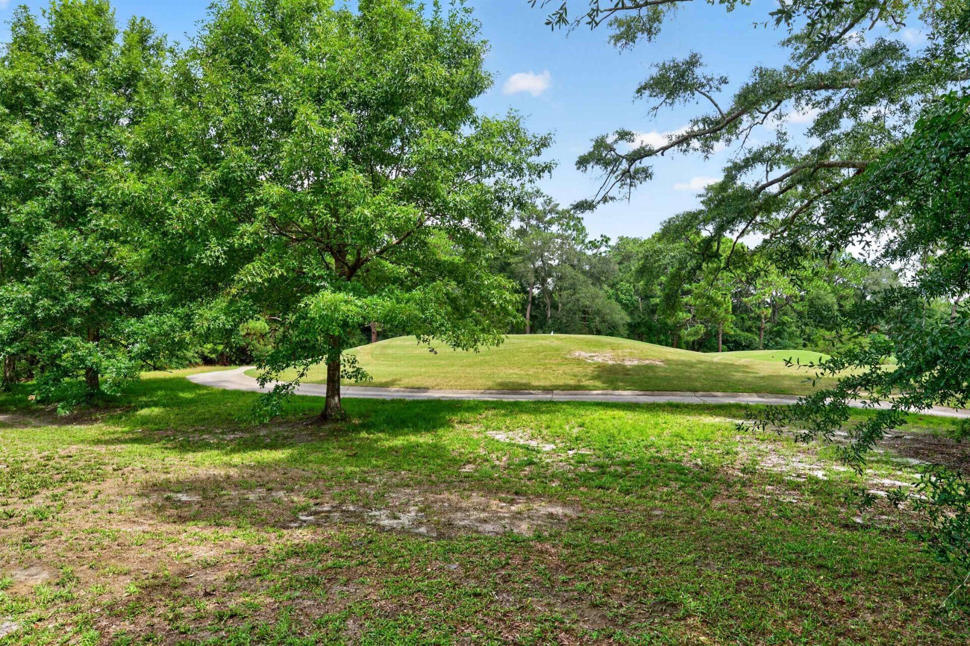 466 Old Plantation Dr.  Photo 39