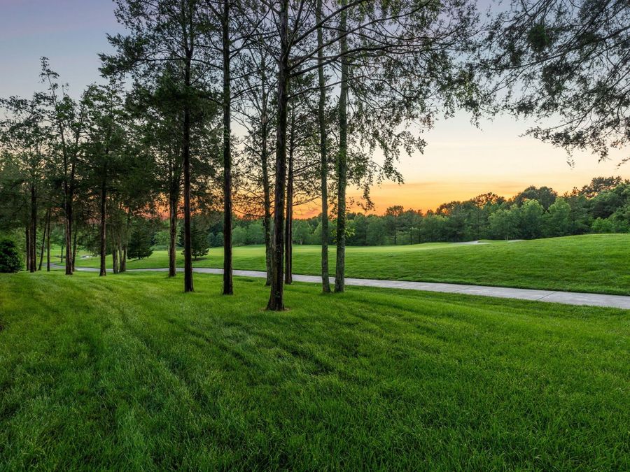 Property Image 68