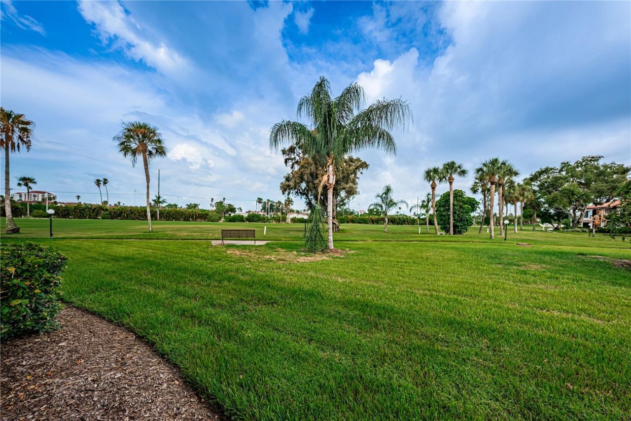 6269 Palma Del Mar Boulevard S, Unit 112, Saint Petersburg, FL 33715 Photo