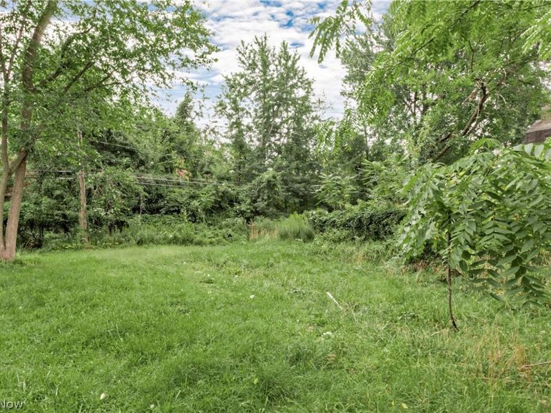 871 E 131 Street, Cleveland, OH 44108 Photo 1