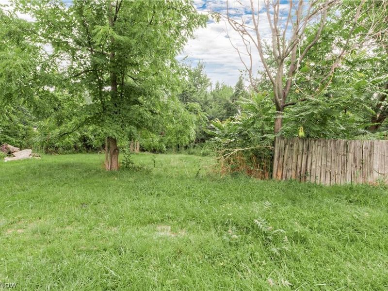 871 E 131 Street, Cleveland, OH 44108 Photo 4