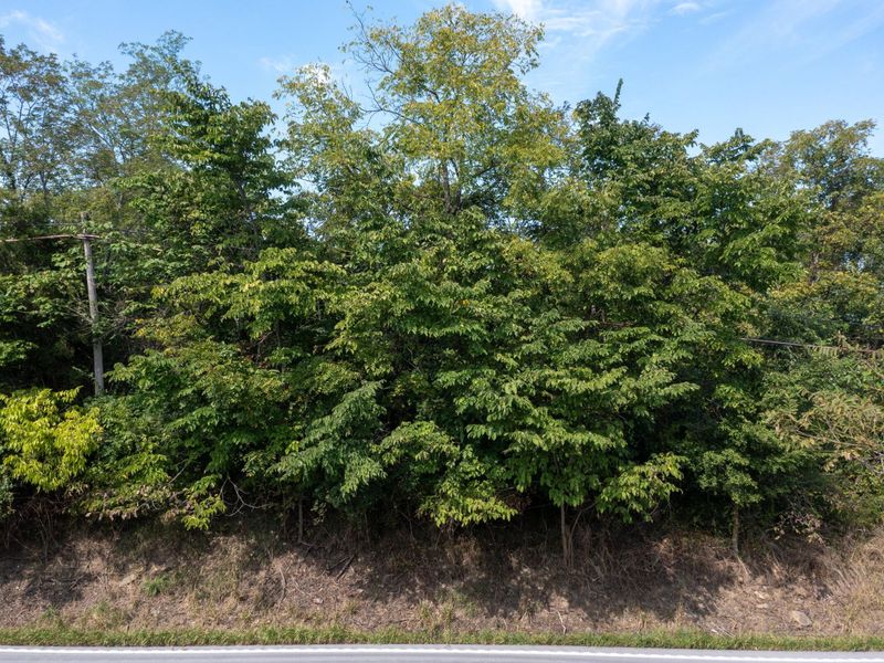 0 Dixie HWY, Williamstown, KY 41097 Photo 5