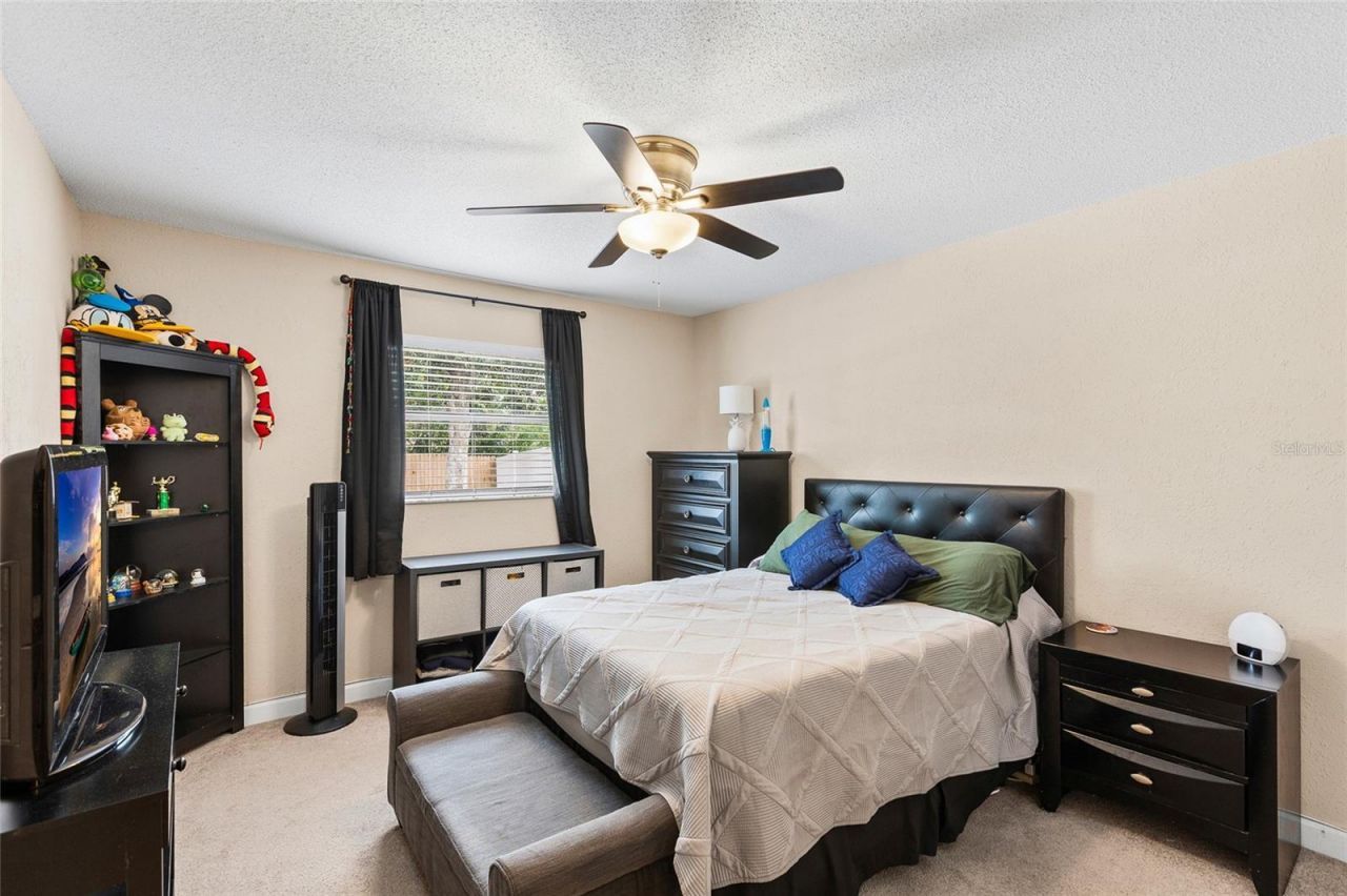 12152 Bonnie Terrace, Seminole, FL 33772 Photo